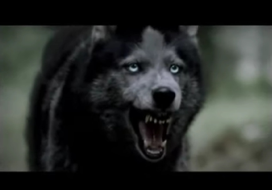 Le loup ou la métaphore de l’angoisse